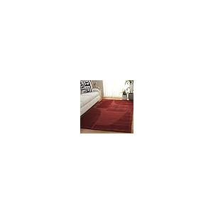 【並行輸入品】 SAFAVIEH Area Rug 3x5 Fifth Avenue Collection Rust， Handmade_5