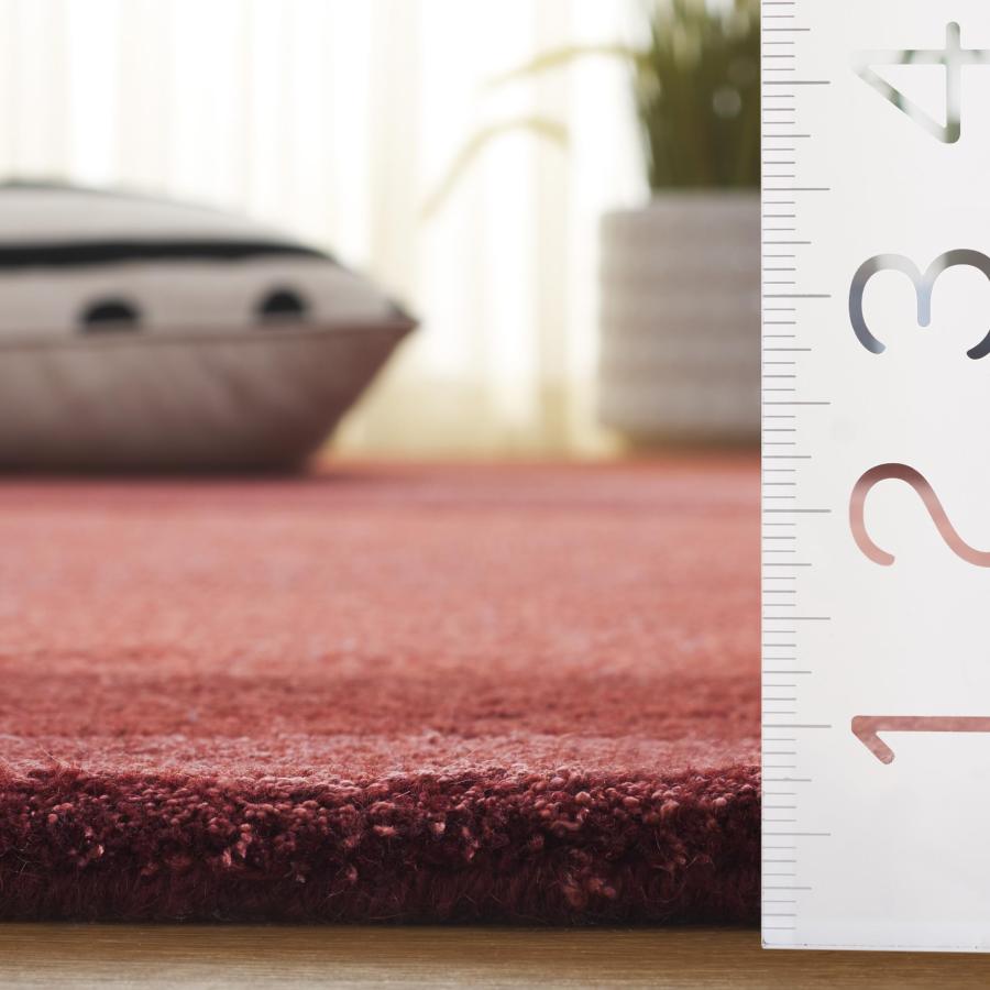 【並行輸入品】 SAFAVIEH Area Rug 3x5 Fifth Avenue Collection Rust， Handmade_9
