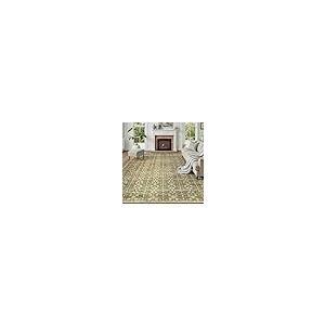 【並行輸入品】DCX 洗濯機洗い可能 オリーブとグリーンのラグ 8x10 DCX 8x10 Neutral Rug， Kid & Pet Fri_2