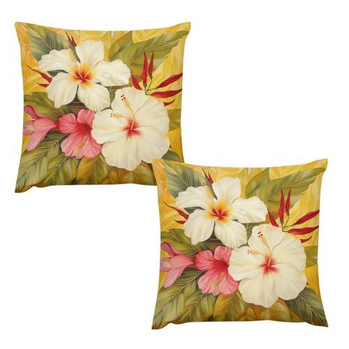 並行輸入品】 2 Pack Cute Personalized Throw Pillow Covers 