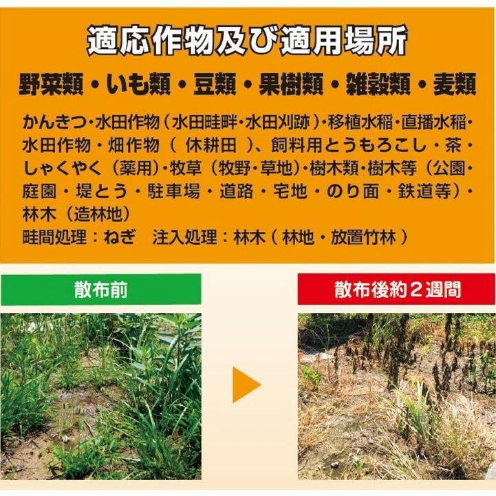 除草剤 ハーブニート 液剤　5L×4本【ケース販売】グリホサート【有効期限：29年10月】_2