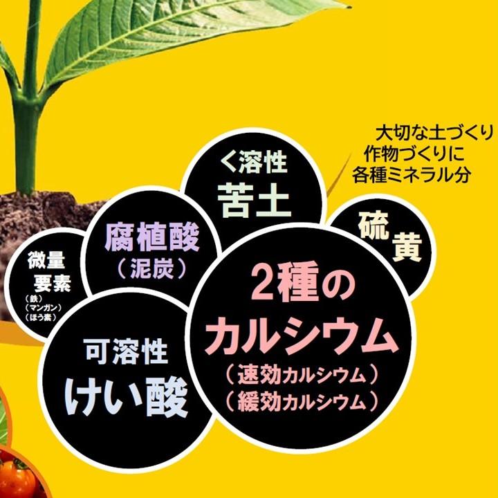 Next（ネクスト）20kg 土づくり肥料 ケイ酸・ミネラル補給 腐植酸配合