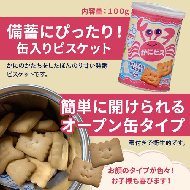 ビスコ 防災食 非常食 10点セット 防災食品セットE プライムクラッカー
