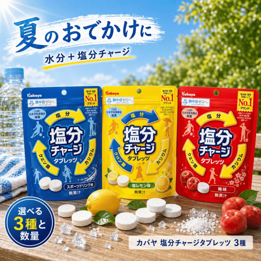 Kabaya カバヤ 塩分チャージ 3種アソート 各4袋 計12袋(312粒) 塩分