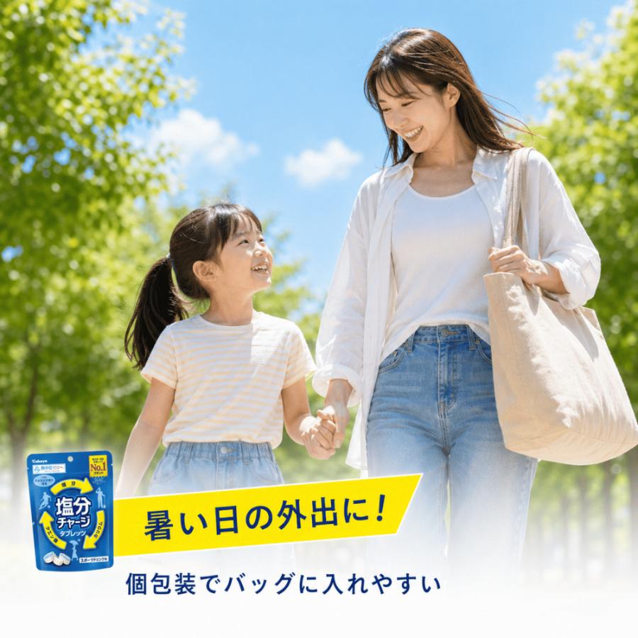 Kabaya カバヤ 塩分チャージ 3種アソート 各4袋 計12袋(312粒) 塩分