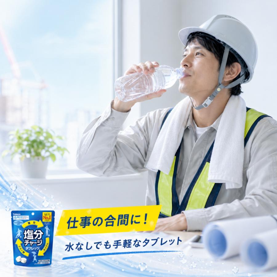 Kabaya カバヤ 塩分チャージ 3種アソート 各4袋 計12袋(312粒) 塩分