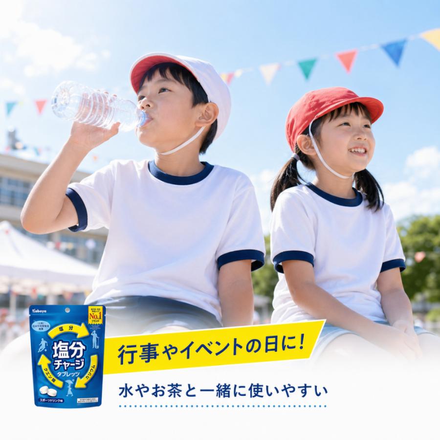 Kabaya カバヤ 塩分チャージ 3種アソート 各4袋 計12袋(312粒) 塩分