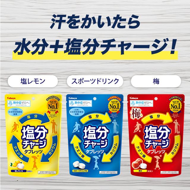 Kabaya カバヤ 塩分チャージ 3種アソート 各1袋 計3袋(78粒) 塩分