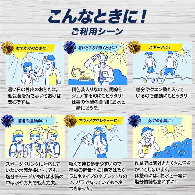 Kabaya カバヤ 塩分チャージ 3種アソート 100粒 塩分チャージタブ