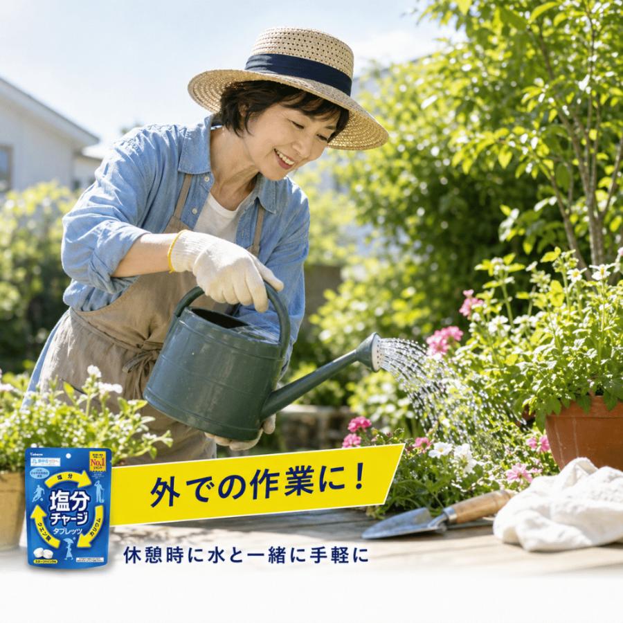 Kabaya カバヤ 塩分チャージ 3種アソート 各1袋 計3袋(78粒) 塩分
