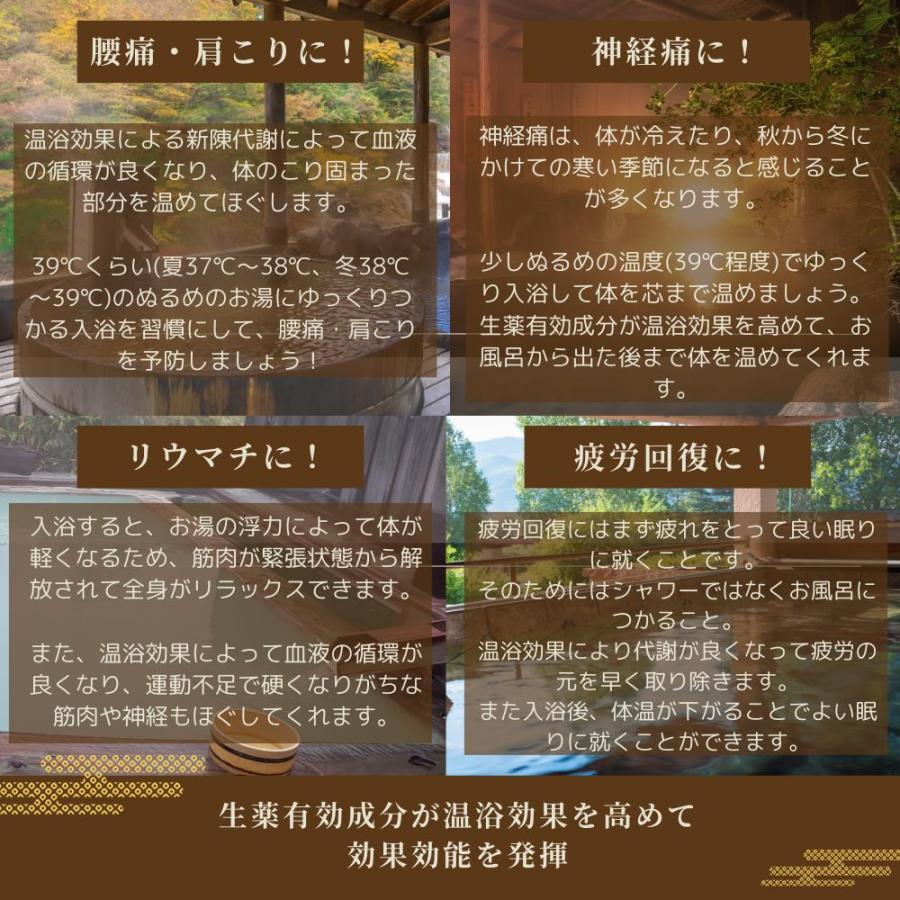 バスクリン くすり湯 入浴剤 100% 生薬 混合抽出液 450ml 約30回分