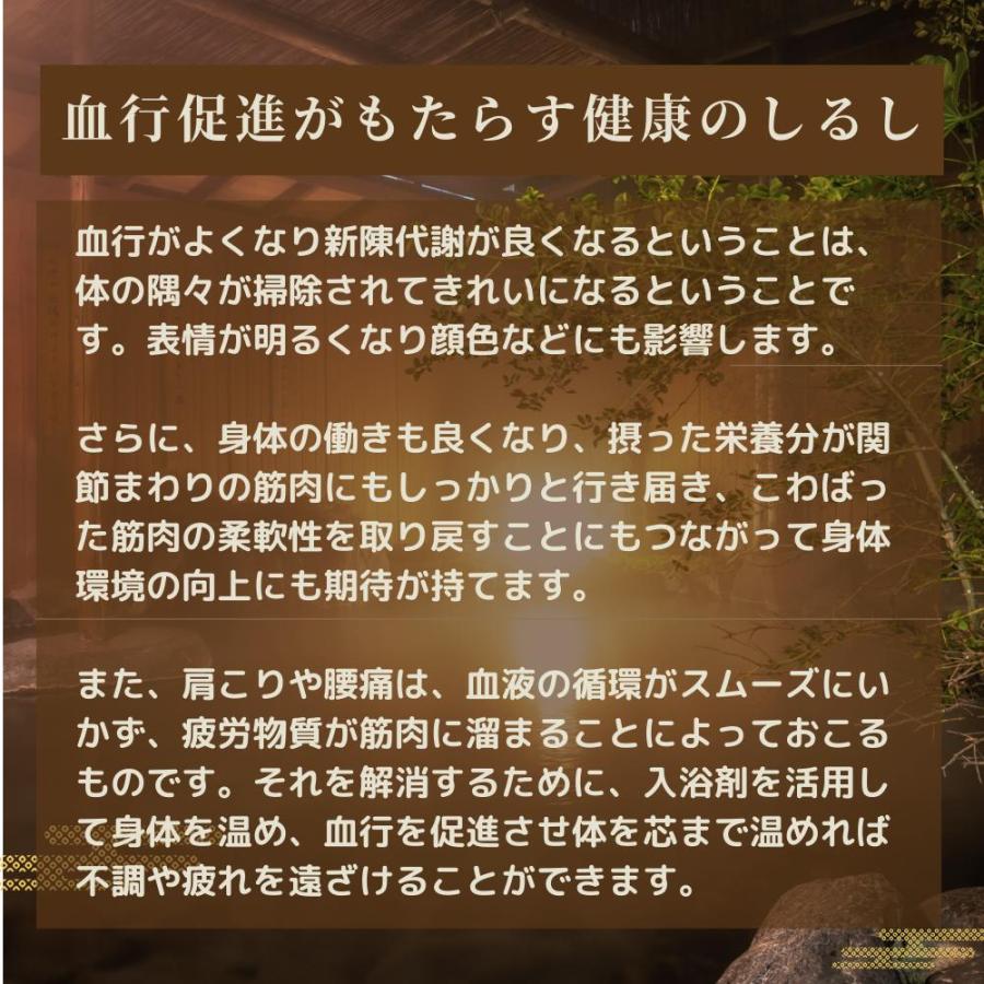 バスクリン くすり湯 入浴剤 100% 生薬 混合抽出液 450ml 約30回分