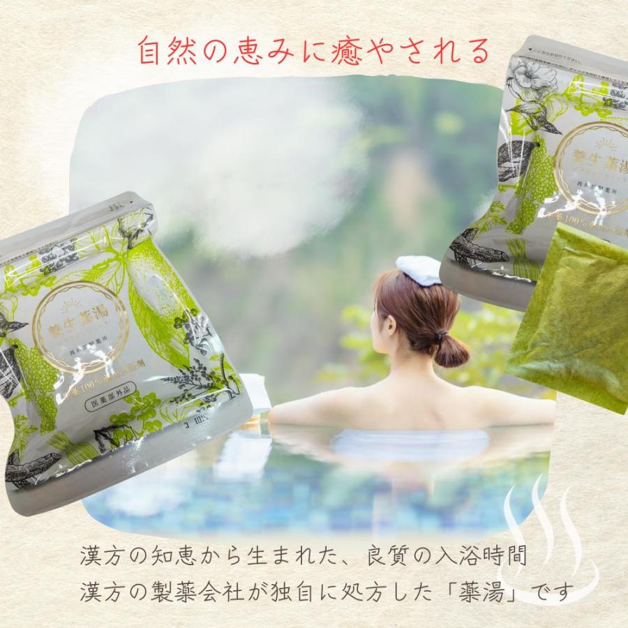 薬用入浴剤 養生薬湯 薬用入浴液 腰痛 神経痛 リウマチ 肩こり 冷え症