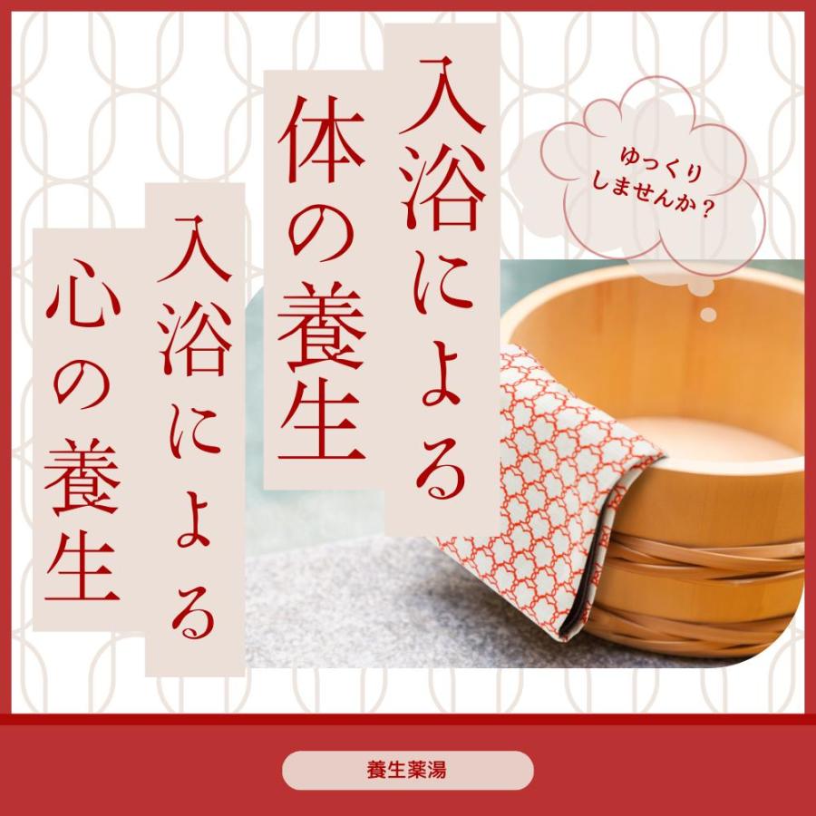 薬用入浴剤 養生薬湯 薬用入浴液 腰痛 神経痛 リウマチ 肩こり 冷え症