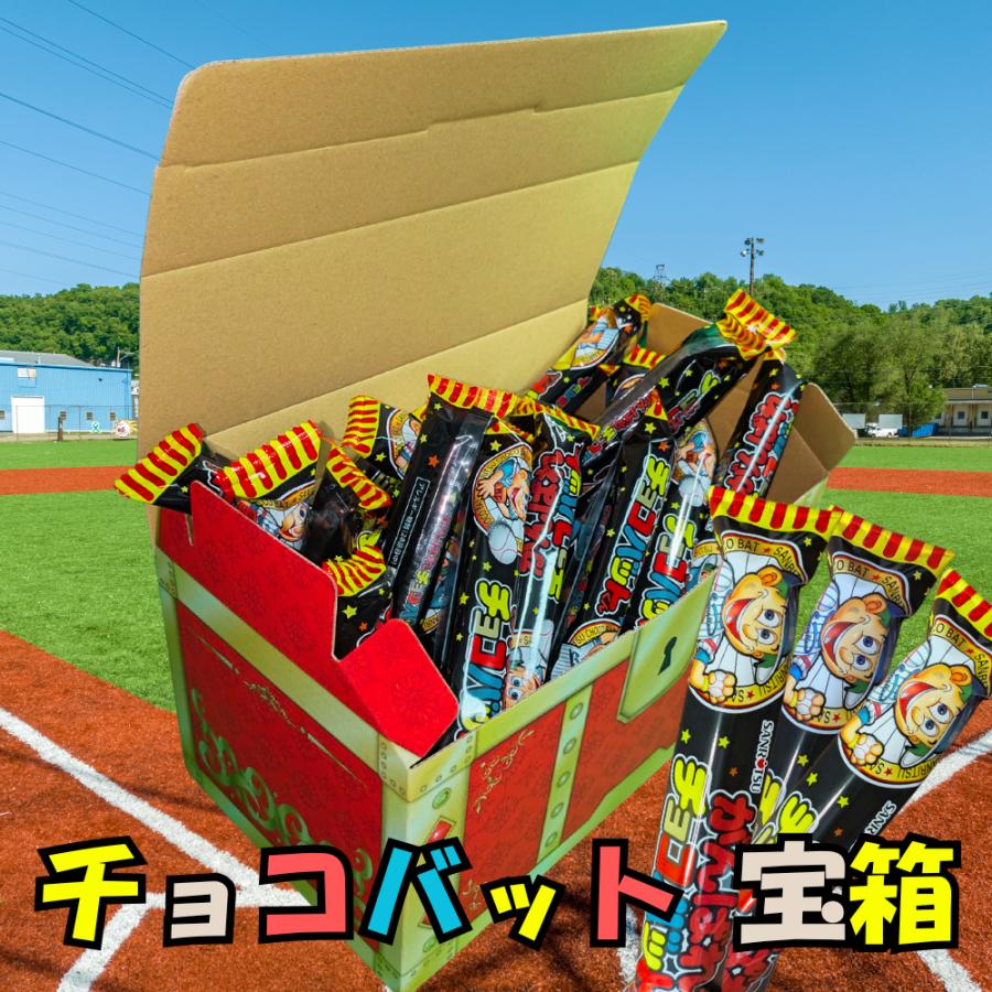 チョコバット がんばれ チョコバットくん 詰め合わせ 宝箱L 48本 大