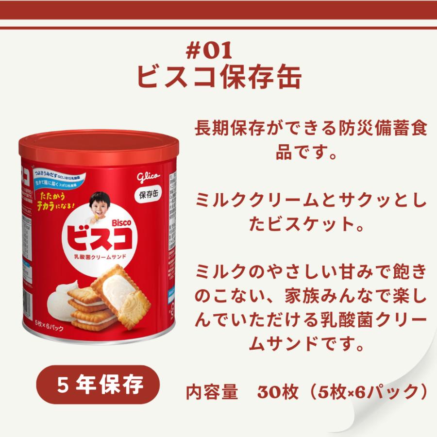 防災食 非常食 6点セット 防災食セットB えいようかん ビスコ 乾パン