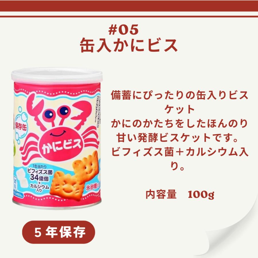 防災食 非常食 6点セット 防災食セットB えいようかん ビスコ 乾パン