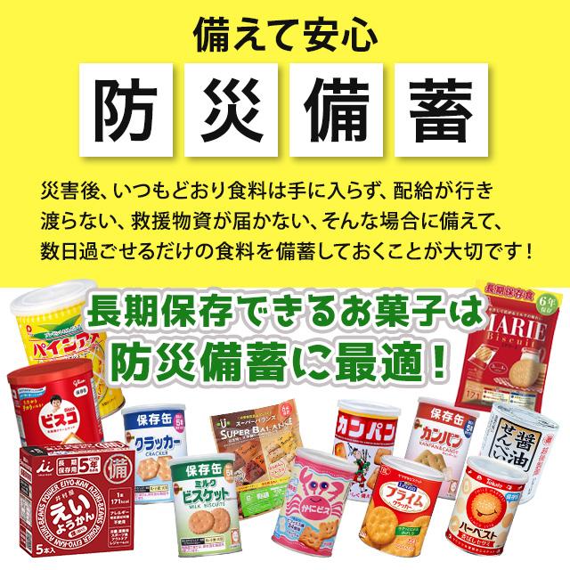 スーパーバランス 6年保存 ココア味 全粒粉 非常食 お菓子 ビスケット