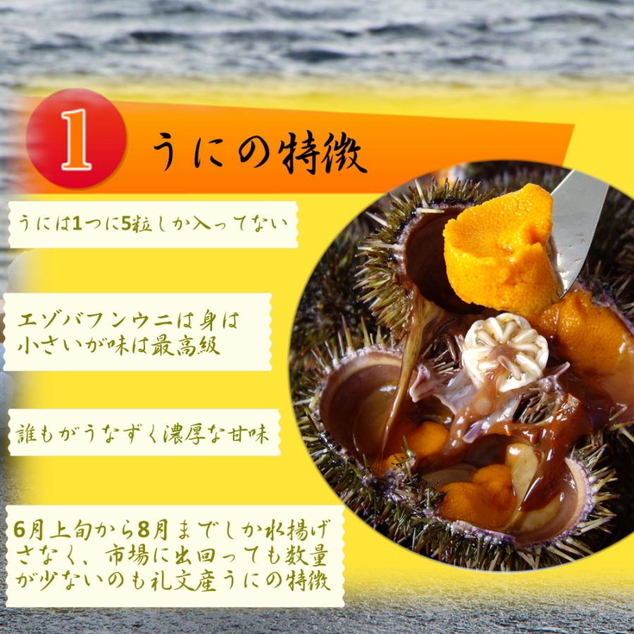 限定品 塩うに 板うに 日本三大珍味 粒うに ウニ 汐うに 100g礼文島のエゾバフンウニと塩のみ使用 エゾバフンウニ 汐ウニ お中元 ウニ