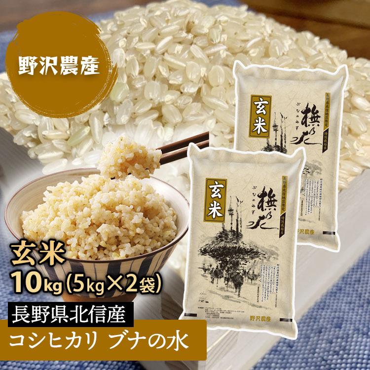 玄米　10kg コシヒカリ　新米　埼玉県産　令和5年産　送料無料　米　10キロ