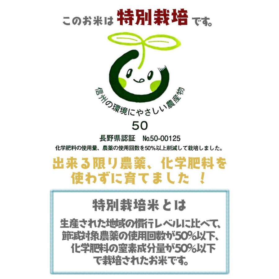 令和5年産 玄米 5kg 送料無料 米 お米 コシヒカリ こしひかり 特別栽培米 野沢農産 長野県産 北信産 5キロ ブナの水｜nozawan320｜02