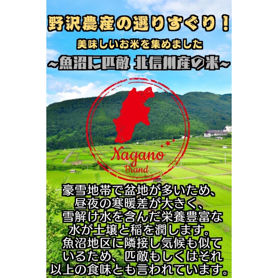 令和5年産 玄米 5kg 送料無料 米 お米 コシヒカリ こしひかり 特別栽培米 野沢農産 長野県産 北信産 5キロ ブナの水｜nozawan320｜03