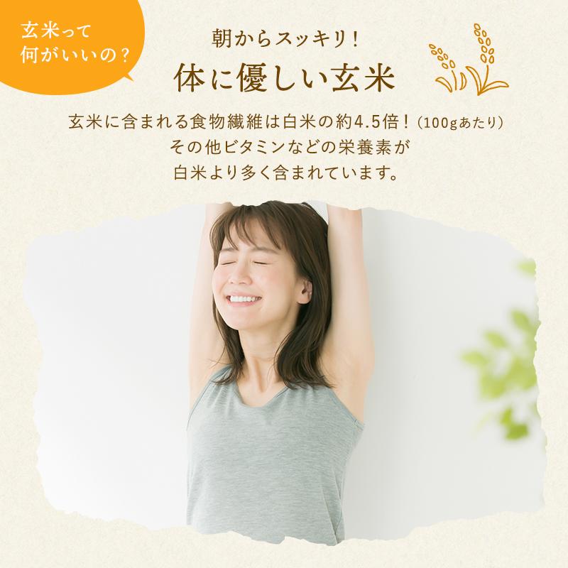 野沢農産 令和6年産 玄米 30kg お米 送料無料 コシヒカリ 野沢農産 令和6年産 玄米 30kg お米 送料無料 コシヒカリ