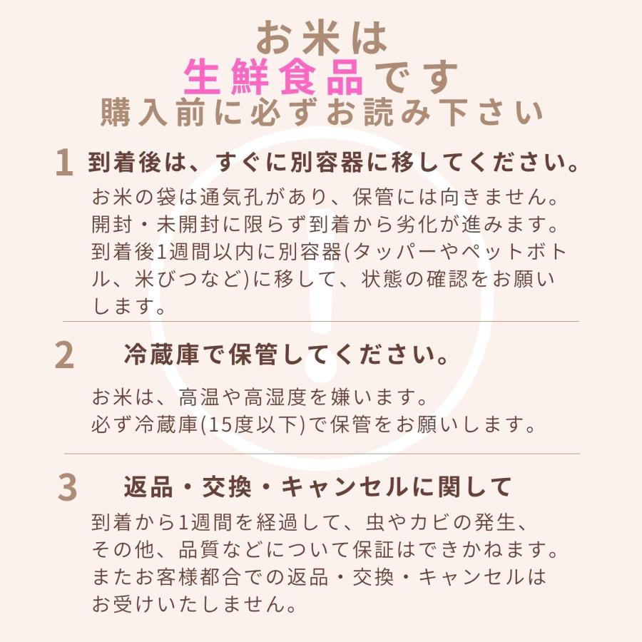 野沢農産 新米 米 米30kg 玄米 30kg お米 送料無料 コシヒカリ