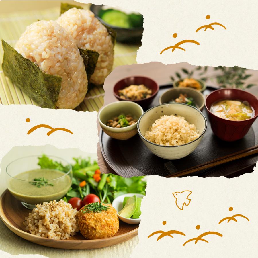 お米 30kg 5kg×6袋 こつぶな玄米 30キロ 送料無料 ギフト 送料込み 青