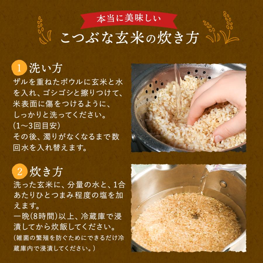 野沢農産 玄米 5kg お米 こつぶな玄米 5キロ 送料無料 ギフト 送料込み