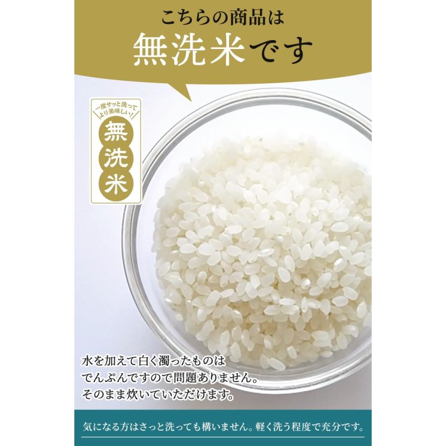 令和5年産 無洗米 10kg 送料無料 米 お米 風さやか 流るる 野沢農産 長野県産 精米 5kg ×2袋 無洗米10kg｜nozawan320｜02