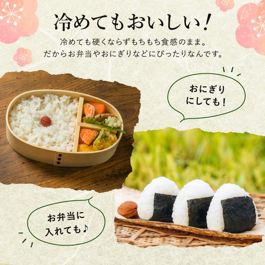 野沢農産 令和6年産 無洗米 5kg 送料無料 米 お米 コシヒカリ 野沢農産 令和6年産 無洗米 5kg 送料無料 米 お米 コシヒカリ