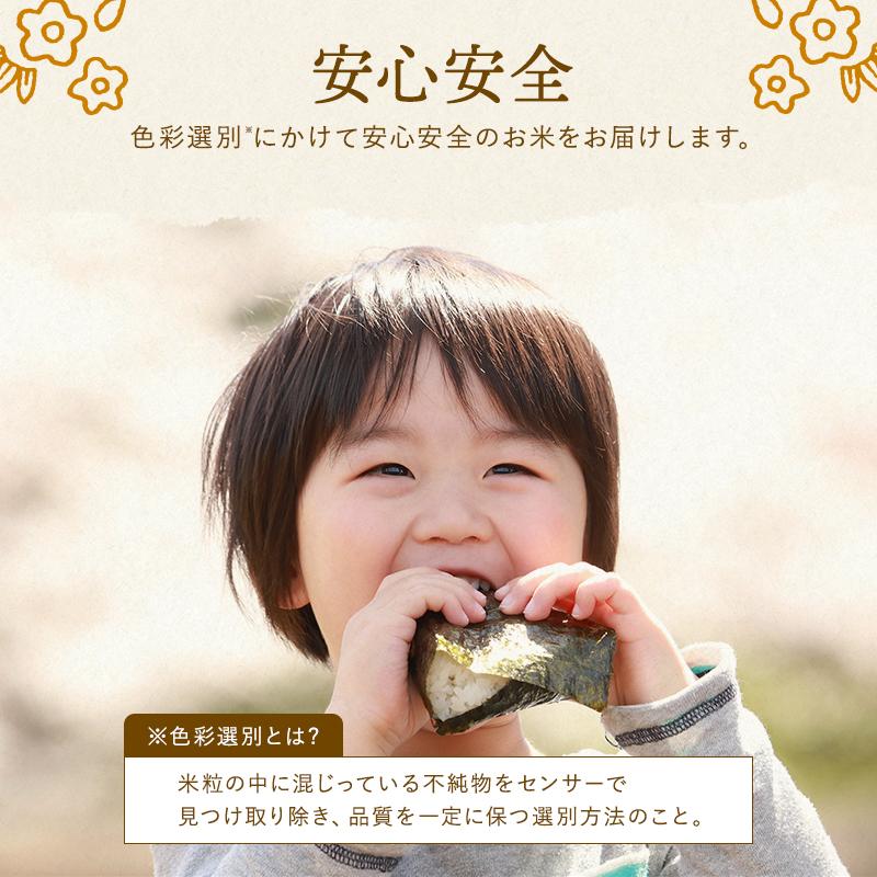 野沢農産 玄米 20kg らくらく無洗米玄米 送料無料 お米 風さやか 流
