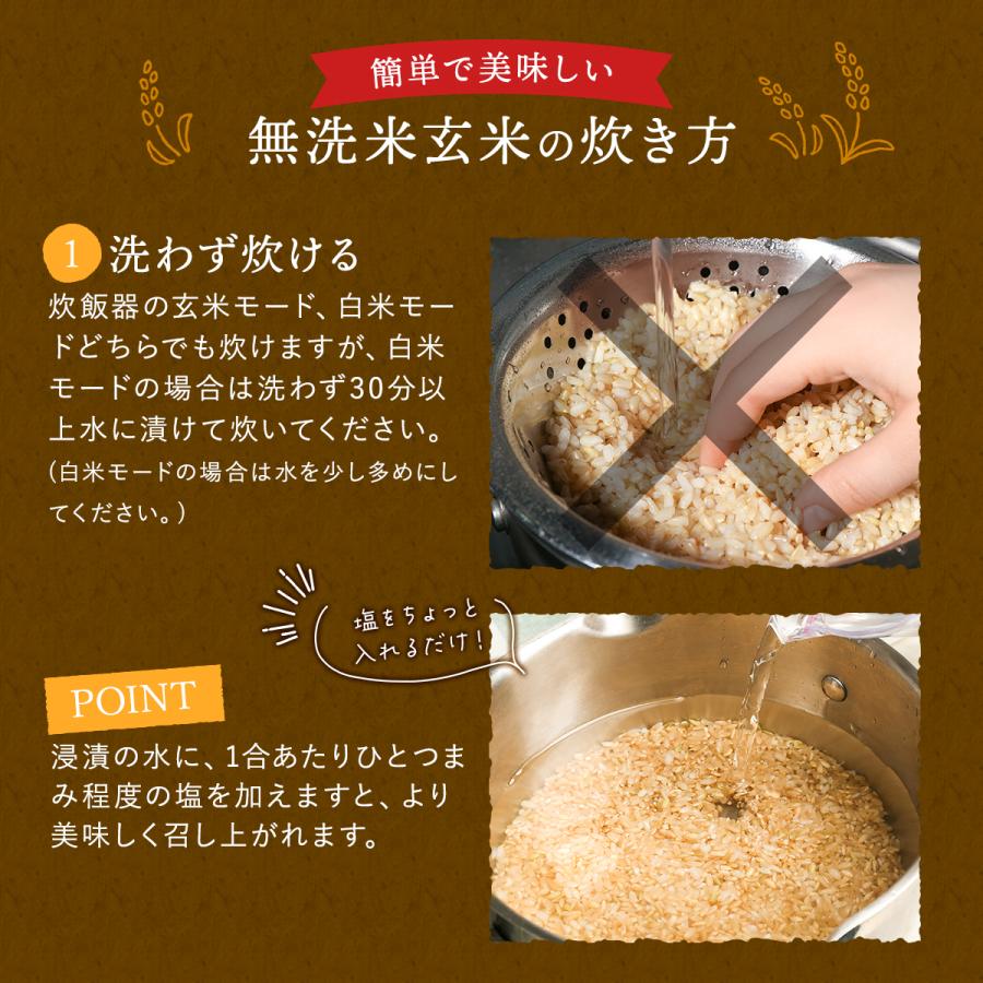 野沢農産 令和5年産 無洗米玄米 20kg 送料無料 米 お米 コシヒカリ 流