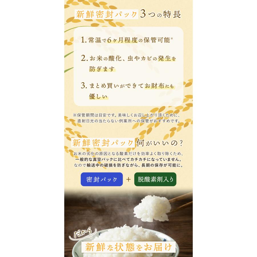 野沢農産 爆買 令和5年産 無洗米玄米 20kg 送料無料 米 お米