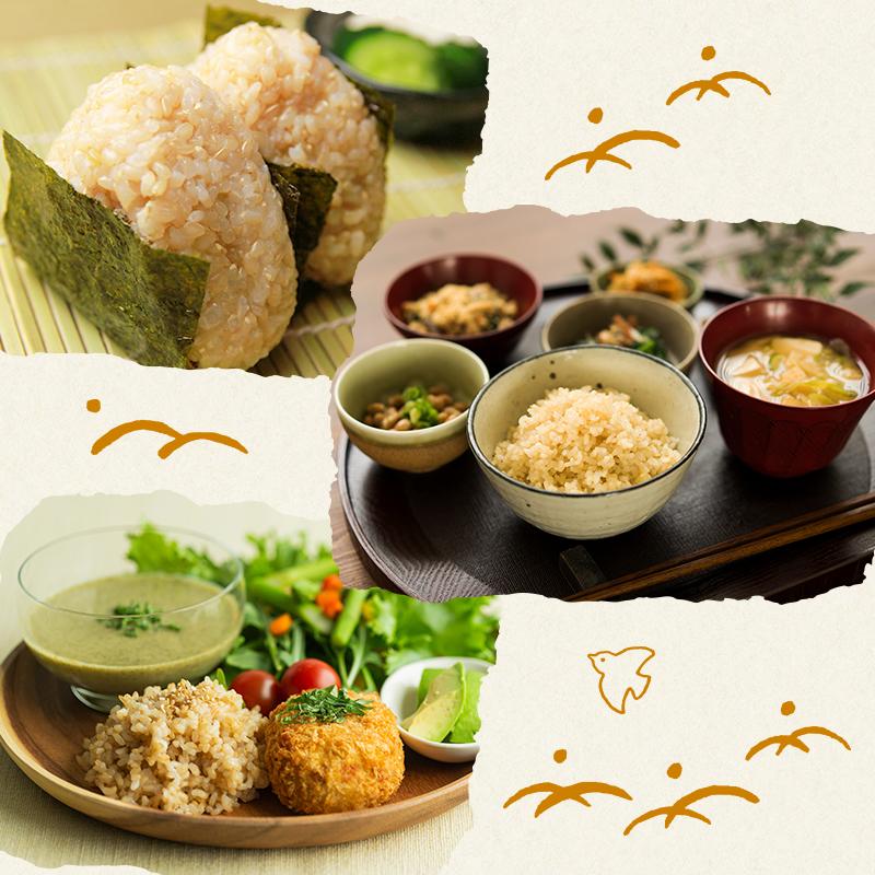 野沢農産 令和5年産 無洗米玄米 20kg 送料無料 米 お米 コシヒカリ 流