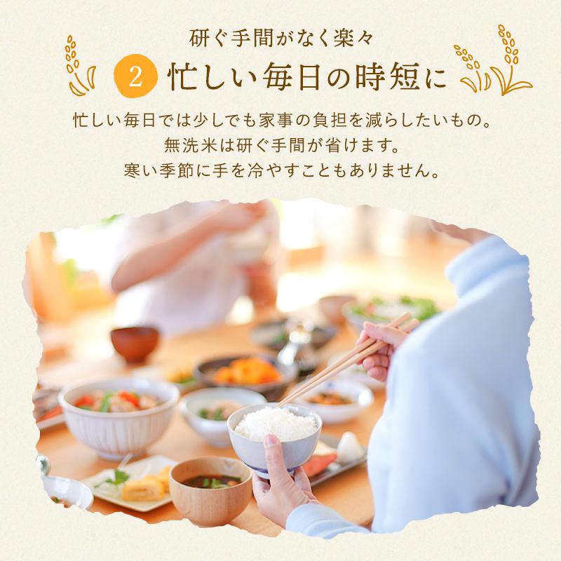 令和7年産 無洗米 20kg 送料無料 お米 ミルキークイーン 流るる 野沢農産 長野県産 精米 5kg ×4袋 無洗米_4