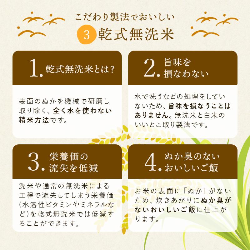 令和7年産 無洗米 20kg 送料無料 お米 ミルキークイーン 流るる 野沢農産 長野県産 精米 5kg ×4袋 無洗米_5
