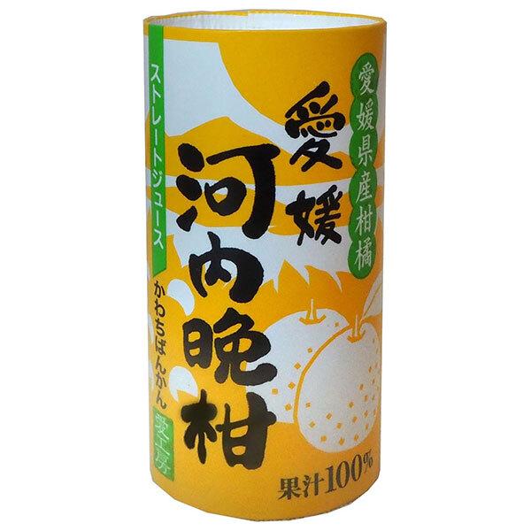 愛工房 河内晩柑 125ml カート缶 60本 (30本入×2 まとめ買い)