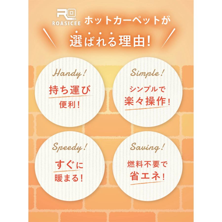 ホットカーペット 日本製 ホットマット型 電気毛布 180cm×80cm 一人用 炭素繊維ヒーター タイマー機能付 どこでもマット 電気マット ホットマット フランネル |  | 02