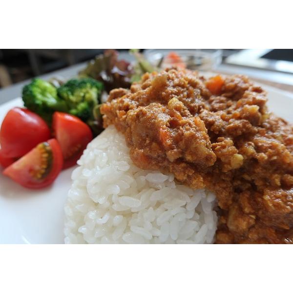 山のにんじんカレー(4袋入)[通常] | 