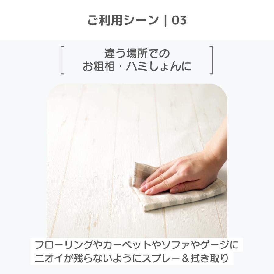 ペレッティー お徳用 消臭スプレー ペット用 500ml + 詰替え用 5L 除菌もできる 次亜塩素酸水 舐めても安心 セット商品 Peletty 次亜塩素酸ナトリウム 猫 |  | 04