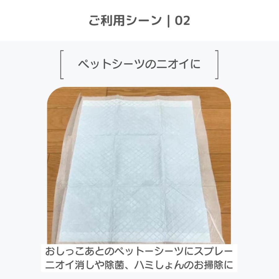 ペレッティー お徳用 消臭スプレー ペット用 500ml + 詰替え用 5L 除菌もできる 次亜塩素酸水 舐めても安心 セット商品 Peletty 次亜塩素酸ナトリウム 猫 |  | 03