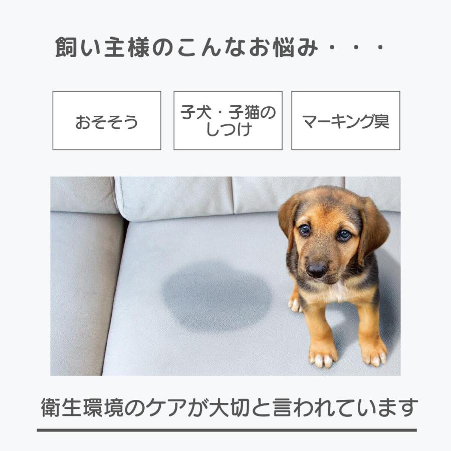 ペレッティー お徳用 消臭スプレー ペット用 500ml + 詰替え用 5L 除菌もできる 次亜塩素酸水 舐めても安心 セット商品 Peletty 次亜塩素酸ナトリウム 猫 |  | 01