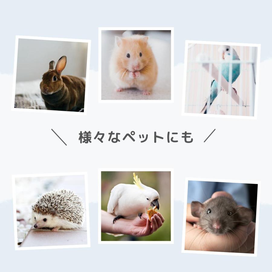 ペレッティー お徳用 消臭スプレー ペット用 500ml + 詰替え用 5L 除菌もできる 次亜塩素酸水 舐めても安心 セット商品 Peletty 次亜塩素酸ナトリウム 猫 |  | 08