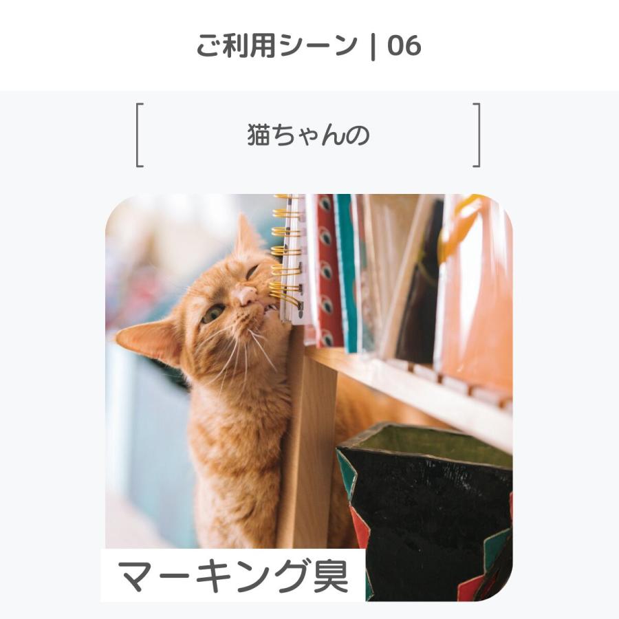 ペレッティー お徳用 消臭スプレー ペット用 500ml + 詰替え用 5L 除菌もできる 次亜塩素酸水 舐めても安心 セット商品 Peletty 次亜塩素酸ナトリウム 猫 |  | 07