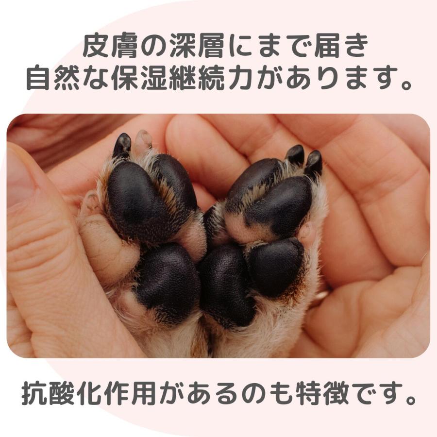 肉球クリーム 滑り止め クリーム 肉球用 ホワイトジェル 犬 猫 保湿