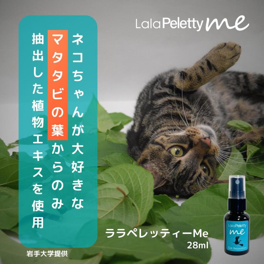 猫さん専用 ねこさん専用 にゃんさん専用品 A-YANさん専用 YAN さん