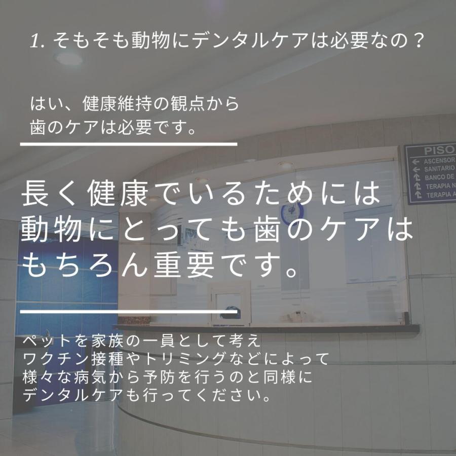 税込 送料無料 新発売 デンタル ペレッティー Dental Peletty デンタルケアジェル1g 口内細菌除去 口臭 歯槽膿漏 予防対策 歯石付着予防 Aynaelda Com