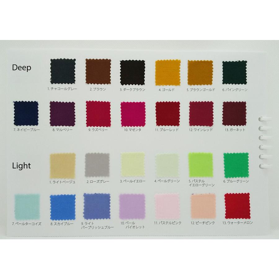 販売再開 リニューアル パーソナルカラー 診断用 布 色 見本 サロン